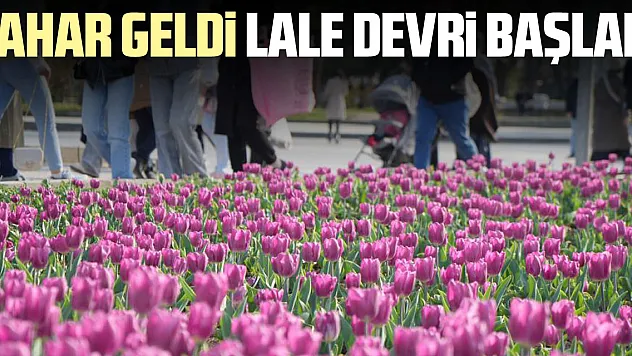 BAHAR GELDi LALE DEVRi BAŞLADI
