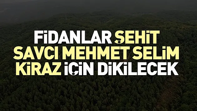 Fidanlar Şehit Savcı Mehmet Selim Kiraz için dikilecek