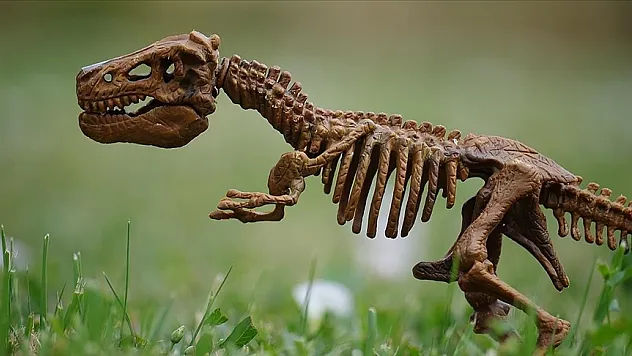 Araştırmacılar, yeni dinozor türü keşfetti