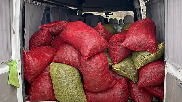 2 ton kaçak midye ele geçirildi