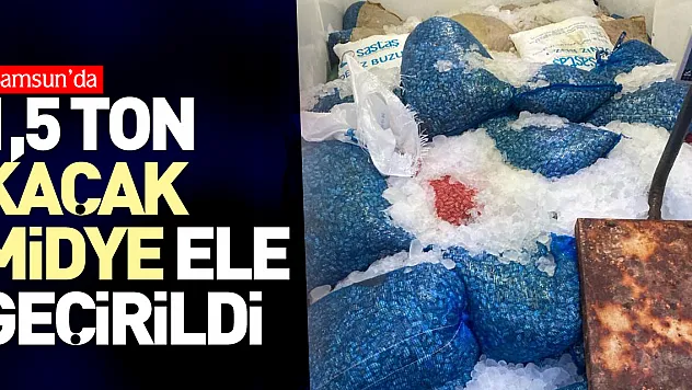 1,5 ton kaçak midye ele geçirildi