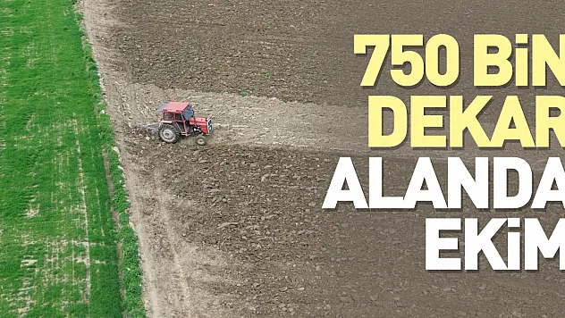750 bin dekar alanda ekim yapılması planlanıyor