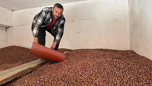 Fındık fiyatları rekor seviyeye ulaştı