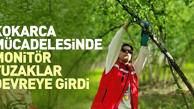 Kokarca mücadelesinde monitör tuzakları devreye girdi