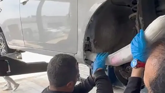 Narkotik köpekleri iş başında