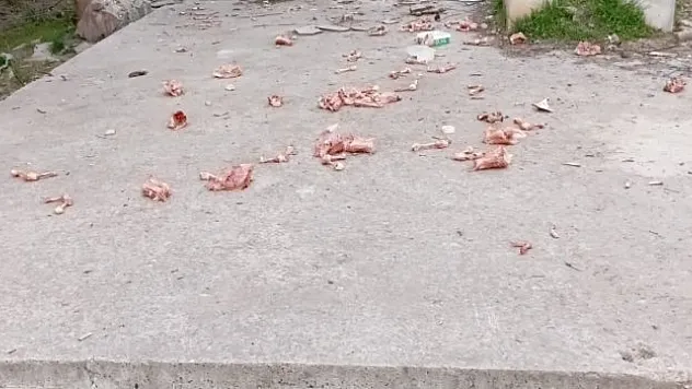 Vatandaşlar çileden çıktı