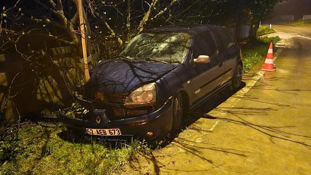 Otomobil elektrik direğine çarptı