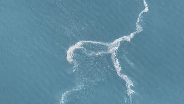 Müsilaj yeniden ortaya çıktı