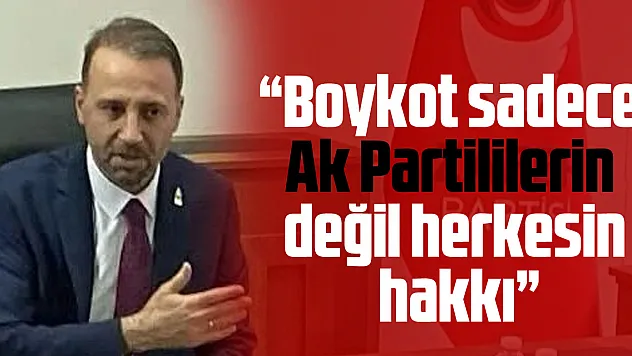 'Boykot sadece Ak Partililerin değil herkesin hakkı'