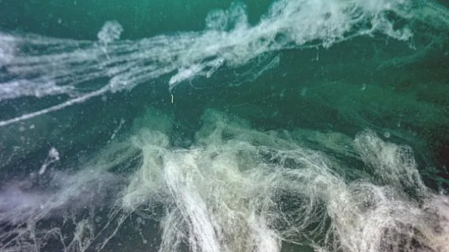 Müsilaj, ağları erkenden toplattı