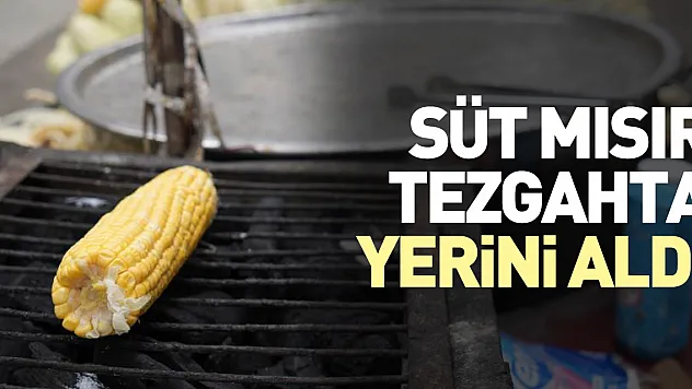 Süt mısır tezgahta yerini aldı