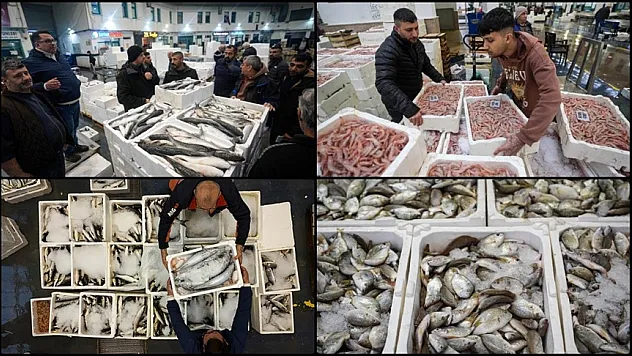 Egeli balıkçılar sezonu geçen yılın üzerinde balıkla kapatacak