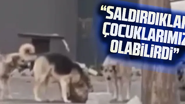 'saldırdıkları bizim çocuklarımız da olabilirdi'