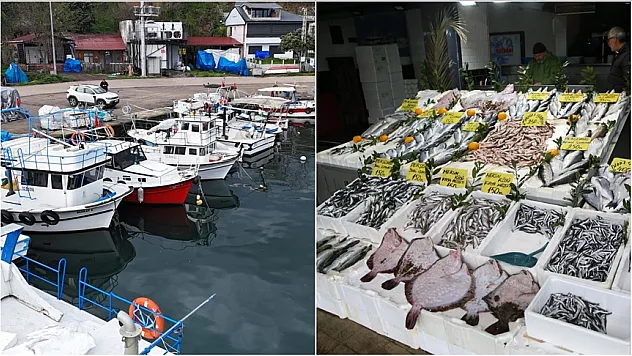 Karadeniz'de av sezonu bereketli bitiyor