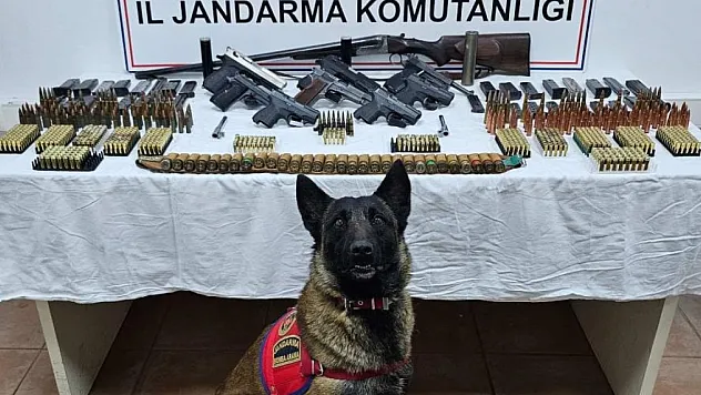 Çok sayıda silah ve mühimmat ele geçirildi