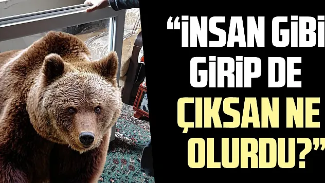 'insan gibi  girip de  çıksan ne olurdu?'