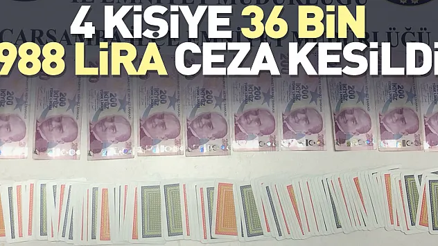 4 kişiye 36 bin 988 lira ceza kesildi