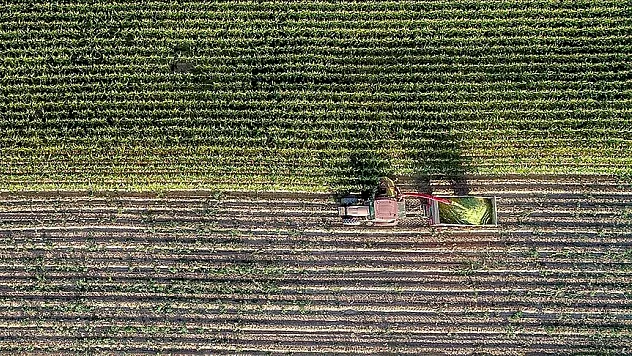 Çiftçilere 5,5 milyar lira destek ödemesi yapılacak