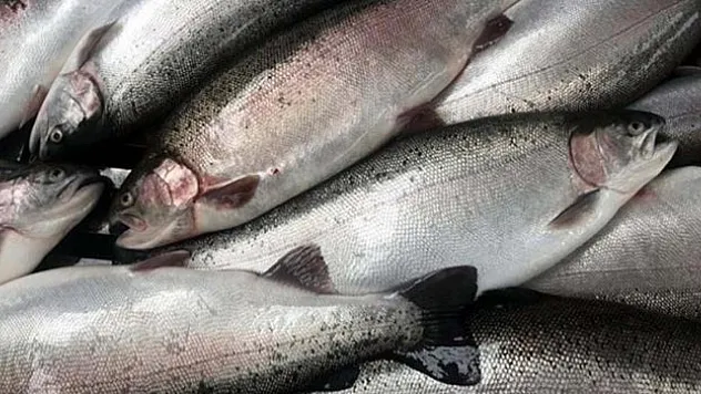 84,4 milyon doları aştı