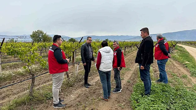 Kaymakam Dalak don zararı gören bağlarda incelemelerde bulundu