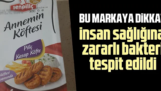 İnsan sağlığına  zararlı bakteri tespit edildi