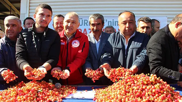 Açık artırmada kilosu 3 bin 500 TL'den satıldı