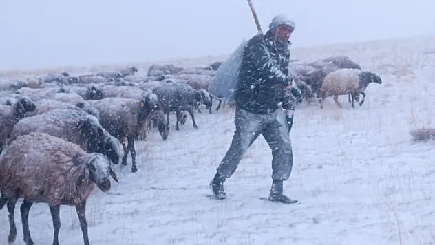 Ağrı'da hayat felç