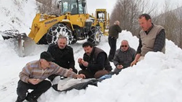 Zeytin-ekmekle yol açıyorlar