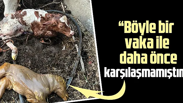 'Böyle bir vaka ile daha önce karşılaşmamıştım'