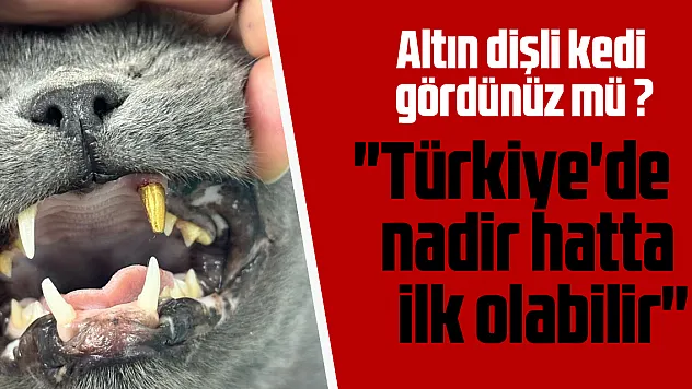 'Türkiye'de nadir hatta ilk olabilir'