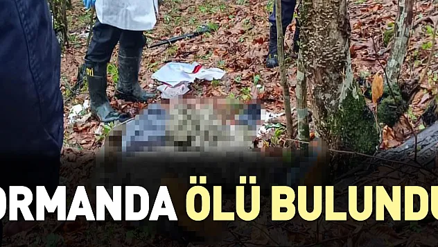 Ormanda tüfekle vurulmuş halde ölü bulundu
