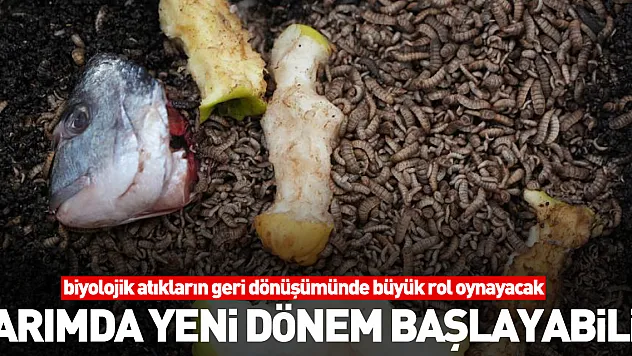 Tarımda yeni dönem başlayabilir