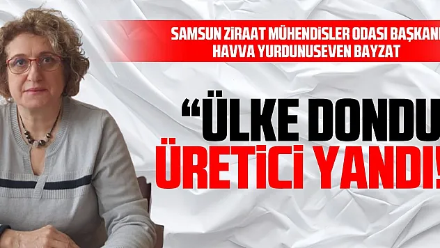 'ÜLKE DONDU,ÜRETİCİ YANDI!'