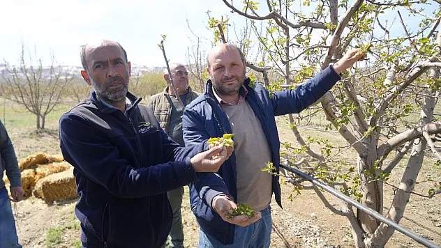 Niğde'de çabalar sonuçsuz kaldı