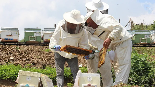 Zirai don ağzımızın tadını kaçıracak bal üretimi