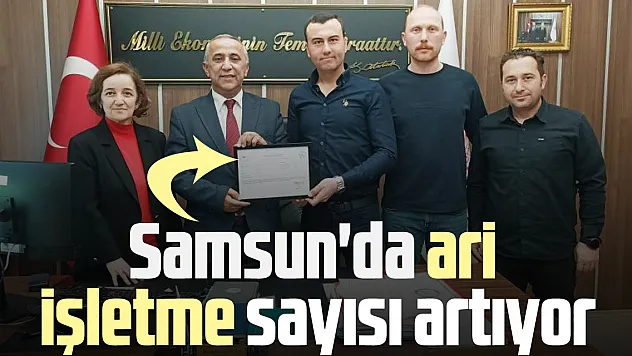 Samsun'da ari işletme sayısı artıyor