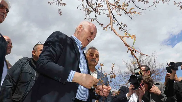 'Kayısıda yüzde yüzlere varan zarar tespit ettik'