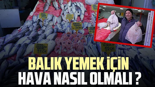 BALIK YEMEK İÇİN HAVA NASIL OLMALI ?