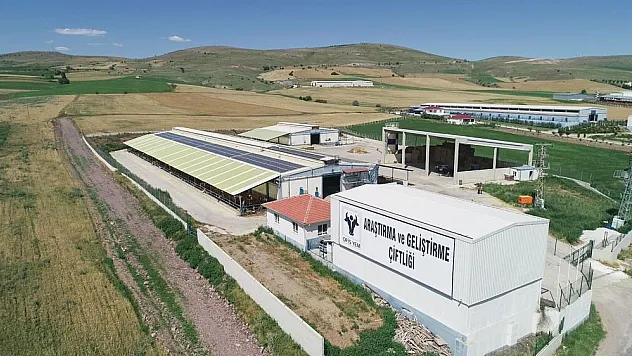 Ofis Yem çıtayı yükseltti 'Atığı değere dönüştürüyoruz'