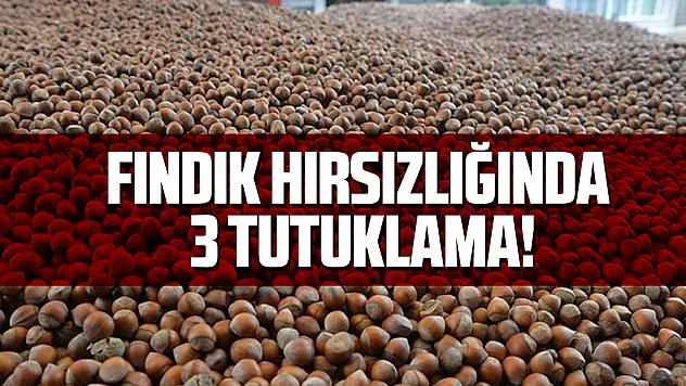 Çarşamba'da fındık hırsızları tutuklandı