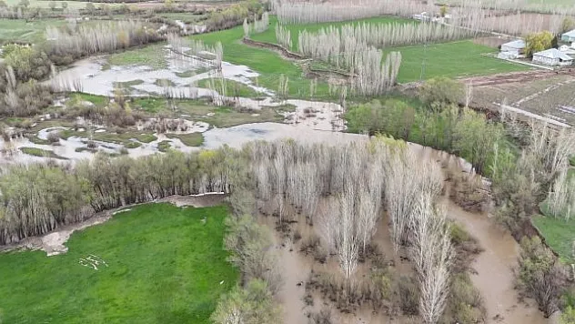 Ağrı'da dere taştı
