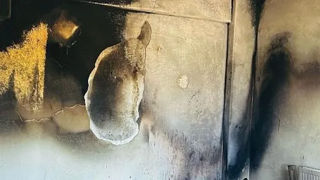 Kıvılcımlar sonucu ev küle döndü