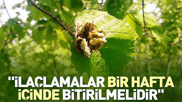'İlaçlamalar bir hafta içinde bitirilmelidir'