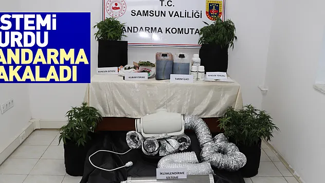 Sistemi kurdu, jandarma yakaladı