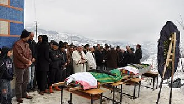 Gümüş ve Danış toprağa verildi