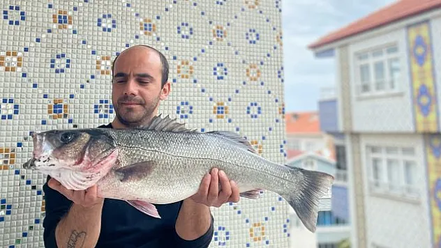 Sinop'ta 7,5 kiloluk dev levrek