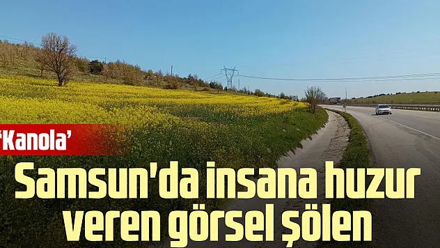 Samsun'da huzur veren görsel şölen 'KANOLA'
