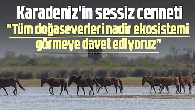 'Tüm doğaseverleri nadir ekosistemi görmeye davet ediyoruz'