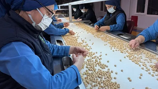 1,9 milyar doları aşkın gelir sağladı