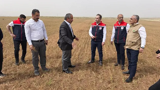 Sussuz tarım ürünleri risk altında